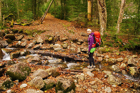 North Twin Trail headed up to North Twin Mountain, Twin Range, NH 4000 footer